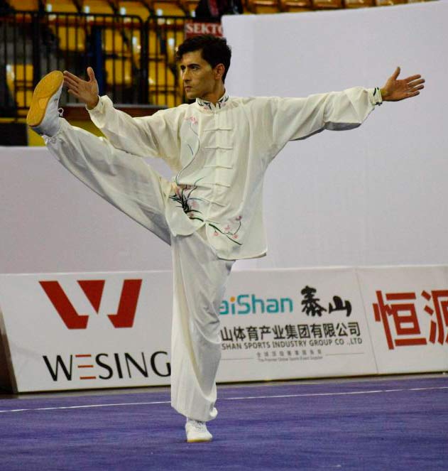 prrofesor-de-taichi-y-chikung-en-madrid